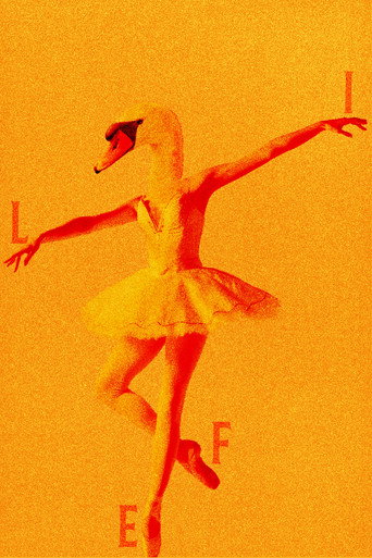 Movie poster for Untitled Project About Love etc. (2020)