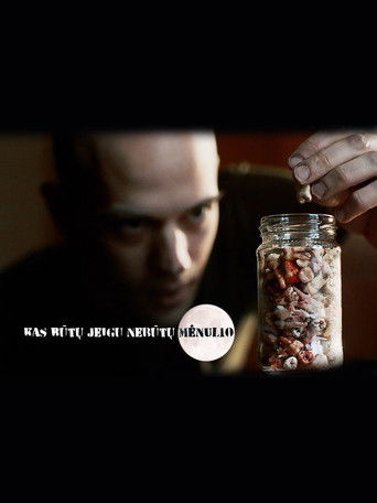 Kas būtų, jeigu nebūtų Mėnulio poster