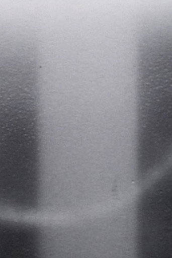 Movie poster for Light Licks: I Saw the Light Praise the Dark (2000)
