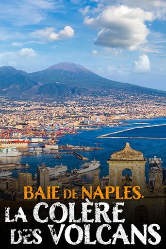 Movie poster for Baie de Naples, la colère des volcans (2020)