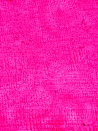 Movie poster for 1/24 Pink (2024)