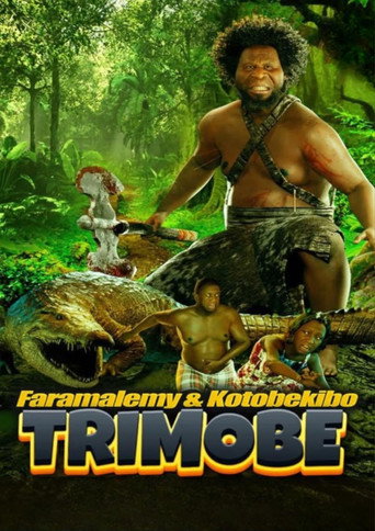Movie poster for Trimobe 3D (2025)