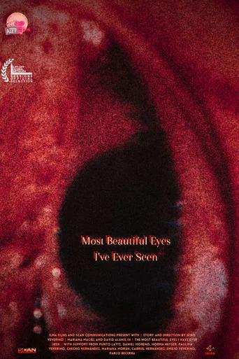 Movie poster for Most Beautiful Eyes I've Ever Seen (2024)