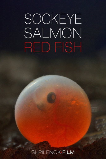 Movie poster for Sockeye Salmon. Red Fish (2020)