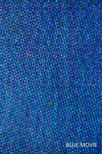 Movie poster for Blue Movie (2014)