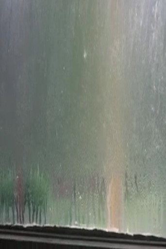 Movie poster for Fogged Windows (2013)