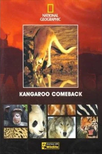 Movie poster for Kangaroo Comeback (1998)