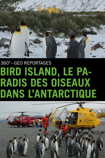 Movie poster for Bird Island - Allein unter Pinguinen (2015)