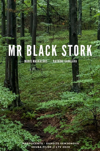 Movie poster for Mr Black Stork (2020)