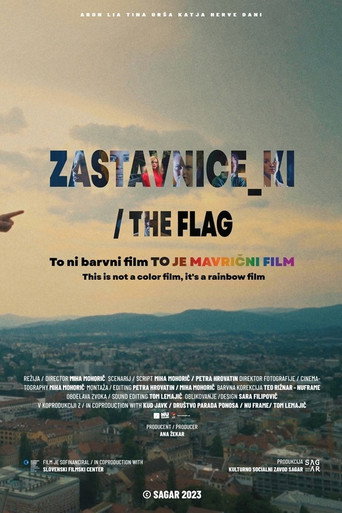 Movie poster for The Flag (2023)