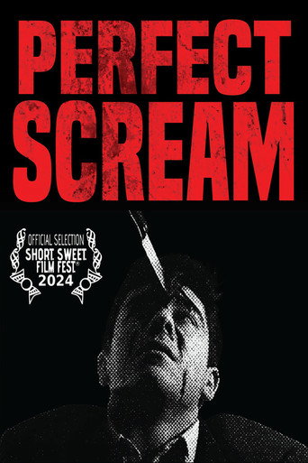 Movie poster for Perfect Scream (2023)