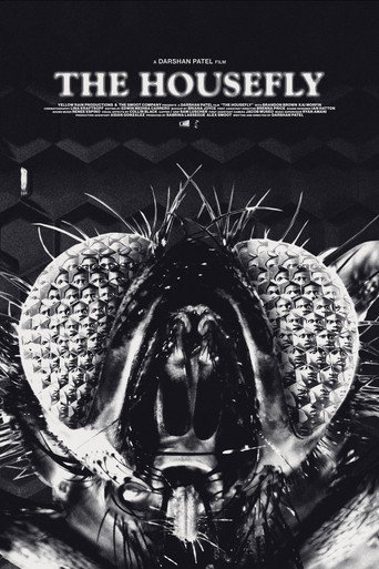 The Housefly poster