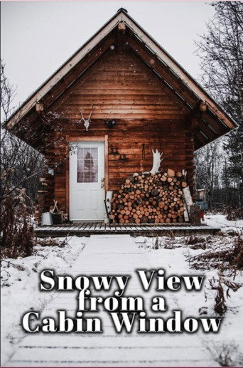Movie poster for Snowy View from a Cabin Window (2023)