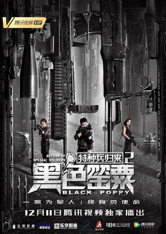 Movie poster for Special Forces Return 2 (2018)