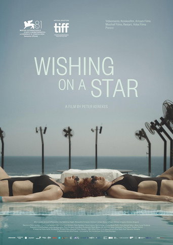 Movie poster for Wishing on a Star (2024)