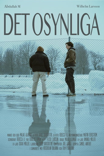 Movie poster for Invisible (2025)