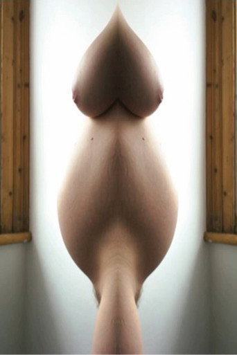Movie poster for Pregnant Pussy Mash Up (2013)