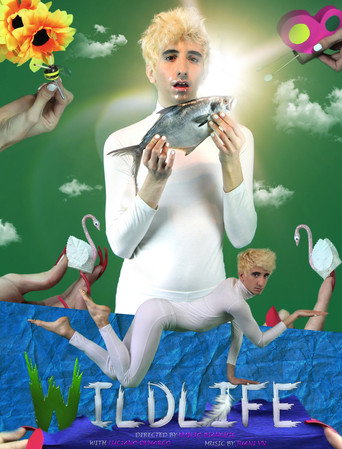 Movie poster for Wildlife