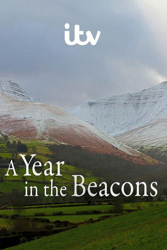 A Year in the Beacons poster