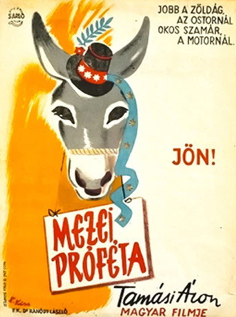 Movie poster for The Prophet of the Fields (1947)