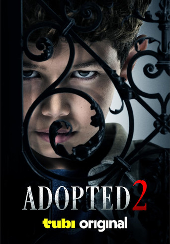 Adopted 2 poster