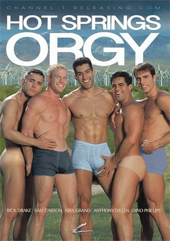 Movie poster for Hot Springs Orgy (1995)