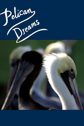 Movie poster for Pelican Dreams (2014)
