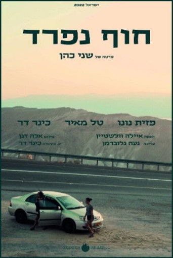 Different Shores poster