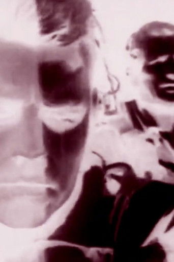 Duck and Cover poster