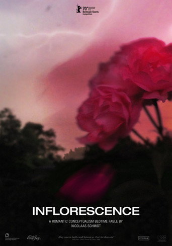 Movie poster for Inflorescence (2020)
