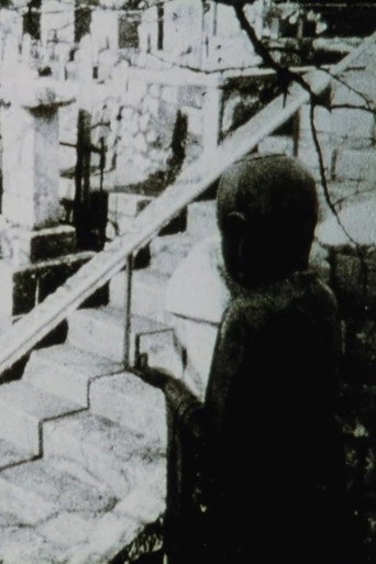 Movie poster for Jane's Window (2005)
