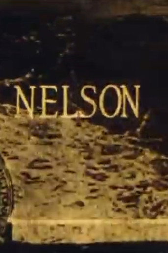 Movie poster for Nelson (1926)