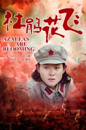 杜鹃花飞 poster
