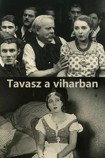 Movie poster for Tavasz a viharban (1929)
