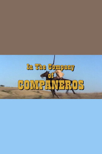 In the Company of Compañeros poster