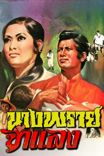 Movie poster for Mrs. Prai Chamlang (1971)