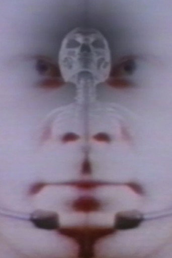 Movie poster for Twice the Universe (1993)