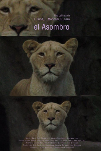 Movie poster for El asombro (2014)