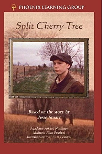 Movie poster for Split Cherry Tree (1982)