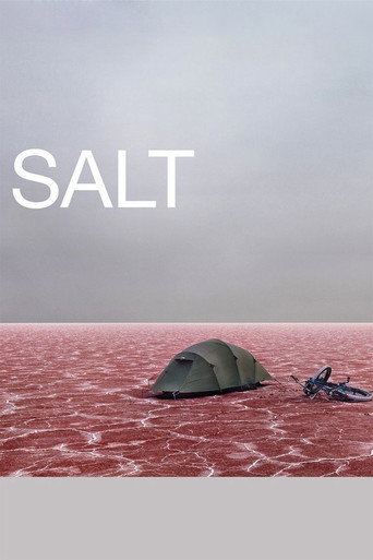 Movie poster for Salt (2009)