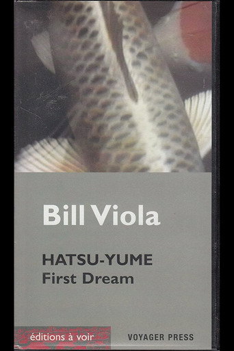 Movie poster for Hatsu Yume (First Dream) (1981)