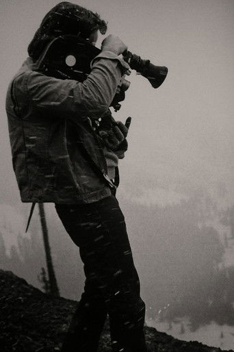 17 Days Down the Line poster