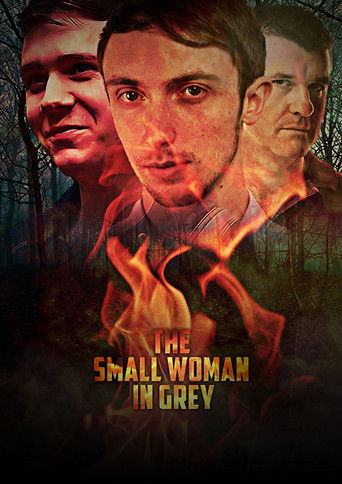 Movie poster for The Small Woman in Grey (2017)