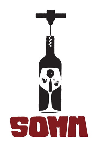 Movie poster for Somm (2013)