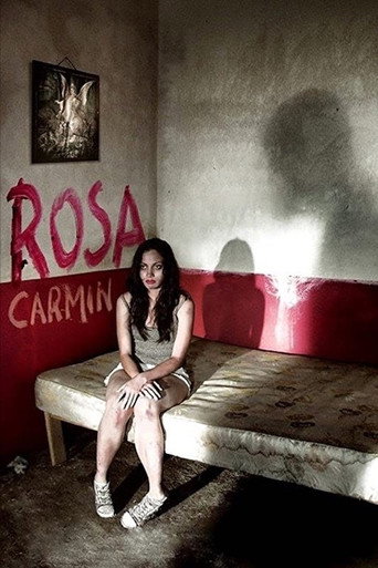 Movie poster for Rosa Carmín (2009)