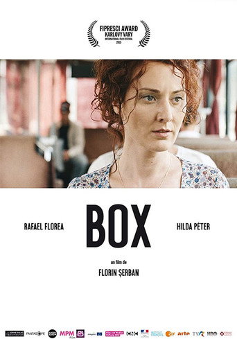 Movie poster for Box (2015)