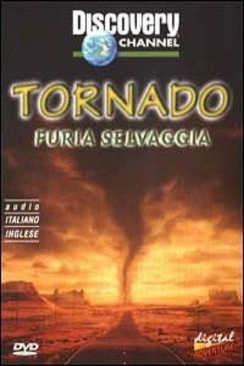 Movie poster for Tornado Chasers (2000)