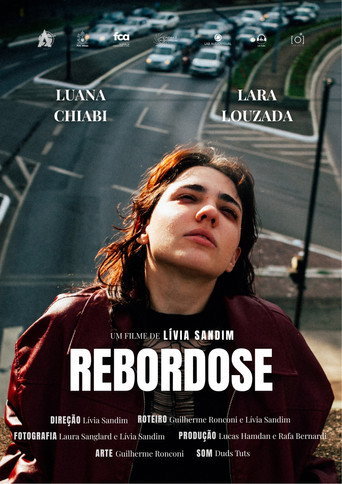 Movie poster for REBORDOSE