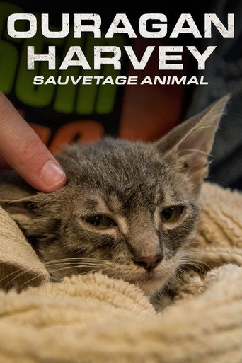 Movie poster for Surviving Harvey: Animals After the Storm (2017)