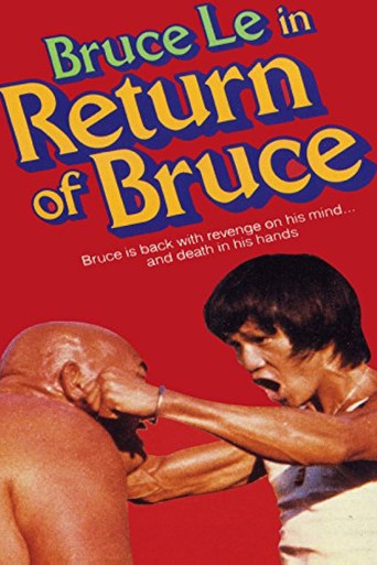 Return of Bruce poster